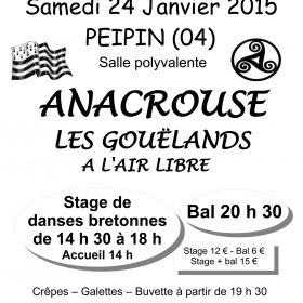 Stage_de_danses_bretonnes_et_Fest_Noz
