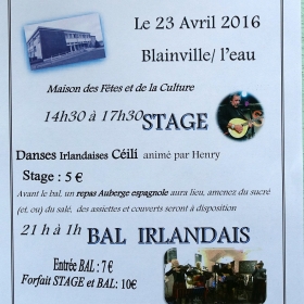 Stage_et_Bal_Irlandais