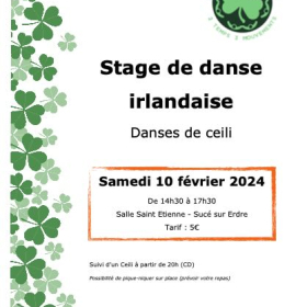 Stage_de_danse_irlandaise