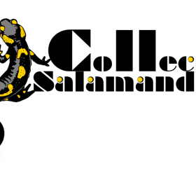 Collectif-Salamandre