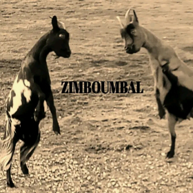 Zimboumbal-Trio
