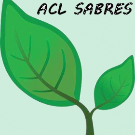 Acl-Sabres