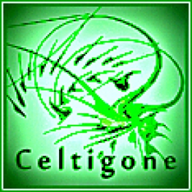 Celtigone