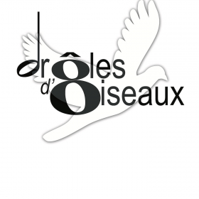Droles-D-Oiseaux