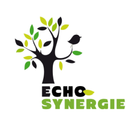 Echo-Synergie