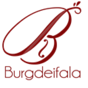 Les-Burgdeifala-D-Illfurth