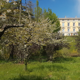 Maison-St-Joseph-D-Allex