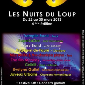 Concert_festival_off_les_nuits_du_loup