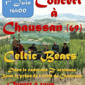 Celtic_Bears_en_concert_a_Chaussan