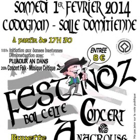 7eme_Fest_Noz_de_Terre_Des_Enfants