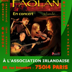 Concert_de_musique_irlandaise_avec_le_groupe_FAOLAN