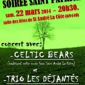 Fete_de_la_Saint_Patrick