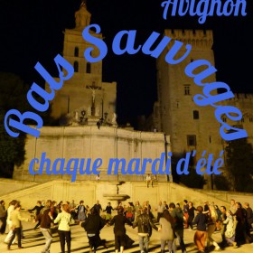 bal_sauvage_du_mardi_place_du_palais