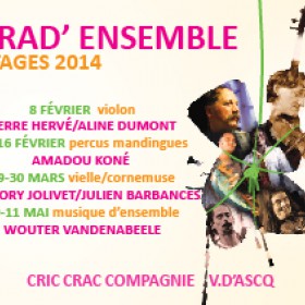 Trad_Ensemble_stage_et_concert