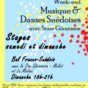 Stages_de_musique_et_danses_suedoises