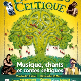 Concert_SteamBox_Printemps_Celtique_Mallemort_de_Provence