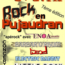 Concert_Barbar_O_Rhum_pour_le_Festival_Rock_en_Pujaudran
