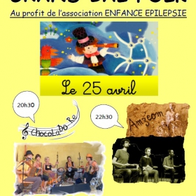 Bal_Folk_au_profit_de_l_association_Enfance_Epilepsie