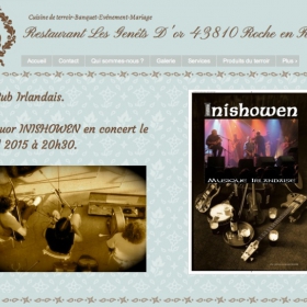 Soiree_irlandaise_avec_MIni_showen_en_formation_acoustique