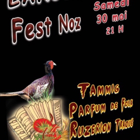 Fest_Noz_a_Languidic