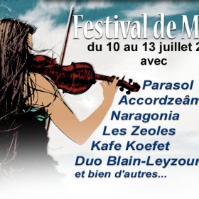 Festival_trad_et_neo_trad_L_Aire_du_Folk