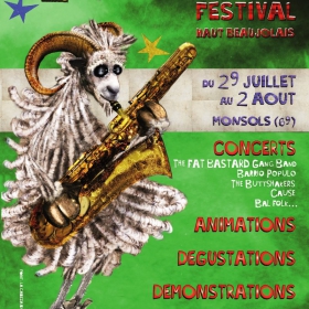 Festival_Le_Cri_du_Col