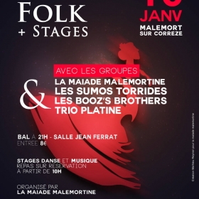 Stages_musique_et_danse_Bal_Folk