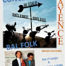 stage_avec_Gilles_Laupretre_et_Concert_bal_avec_Bal_O_Gadjo