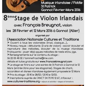 Stage_de_Violon_Irlandais_avec_Francois_Breugnot