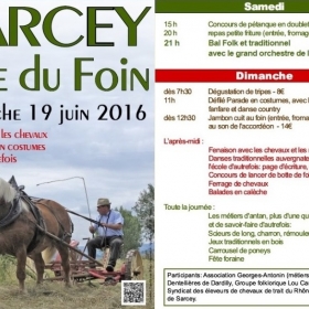 Bal_folk_et_traditionnel_de_la_fete_du_foin_a_Sarcey