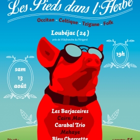 Festival_Les_Pieds_dans_L_herbe_2016