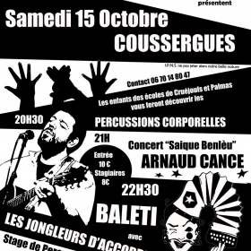 Stage_concert_et_baleti