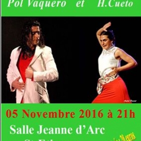 flamenco_de_andalucia
