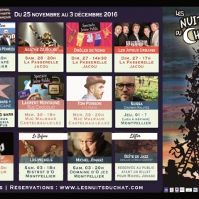 Festival_Les_Nuits_du_Chat