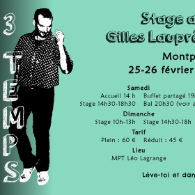 Stage_de_Bourree_3_temps_et_P_tit_Bal_a_Leo