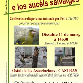 Conference_diaporama_Nourrir_les_Oiseaux_e_los_Aucels_salvatges