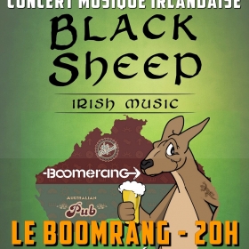 Concert_de_musique_irlandaise_au_Boomrang_a_Rouen