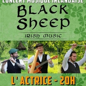 Concert_de_musique_irlandaise_pres_d_Yvetot