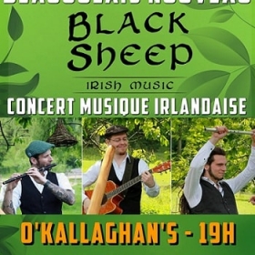 Concert_de_musique_irlandaise_au_O_Kallaghan_s_a_Rouen