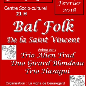 Bal_folk_de_la_vigne_de_Beauregard