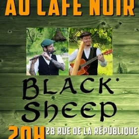 Concert_de_musique_irlandaise_a_Rouen_avec_Black_Sheep