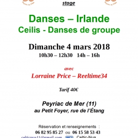 Stage_de_Danses_d_Irlande_Ceilis