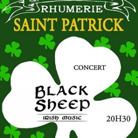 Concert_de_musique_irlandaise_a_Rouen_avec_Black_Sheep