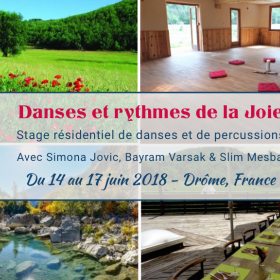 Stage_Danses_et_rythmes_de_la_Joie
