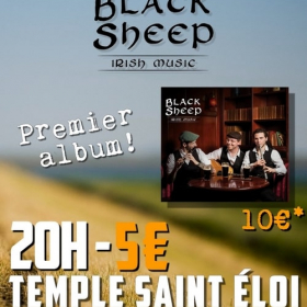 Concert_de_musique_irlandaise_au_Temple_Saint_Eloi_a_Rouen