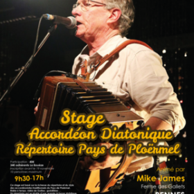 Stage_accordeon_diatonique_avec_Mike_James