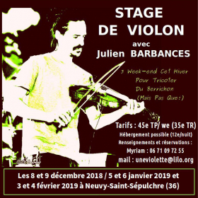 Stage_de_violon_avec_Julien_Barbances