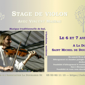Stage_de_violon