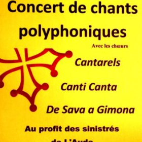 Concert_de_soutien_aux_sinistres_de_l_Aude