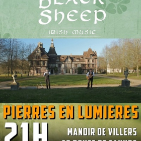 Concert_de_musique_irlandaise_a_Saint_Pierre_de_Manneville